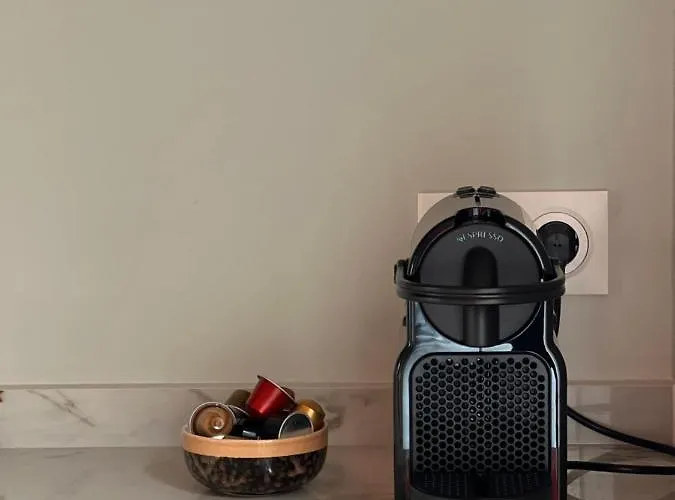 Dom wakacyjny Ocean Lodge_plage Bourdaines Seignosse